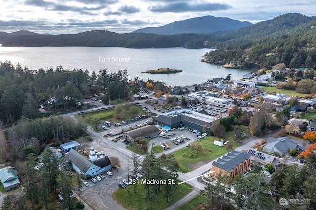 aerial view with a water and mountain view