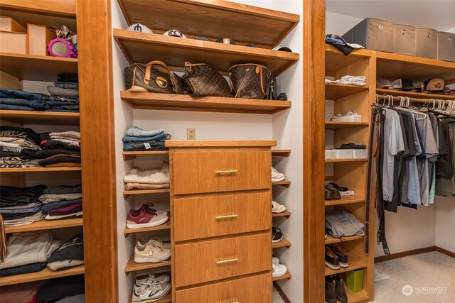 spacious closet featuring carpet flooring