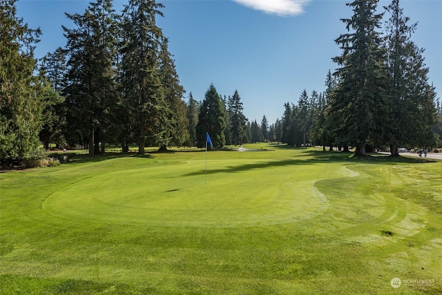 view of community with golf course view