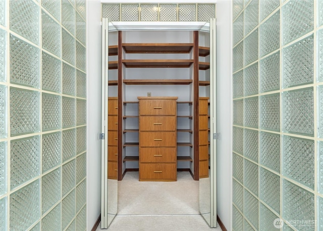 125 Arnold Palmer Pkwy, Sequim, WA 98382 - spacious closet featuring carpet floors