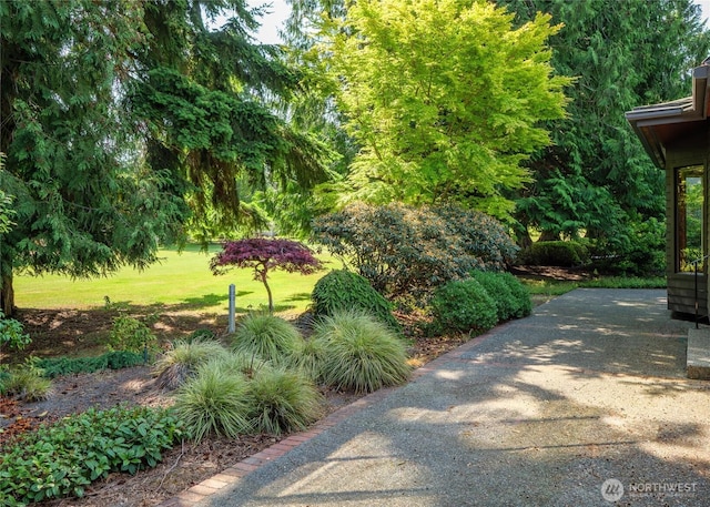125 Arnold Palmer Pkwy, Sequim, WA 98382 - view of patio / terrace