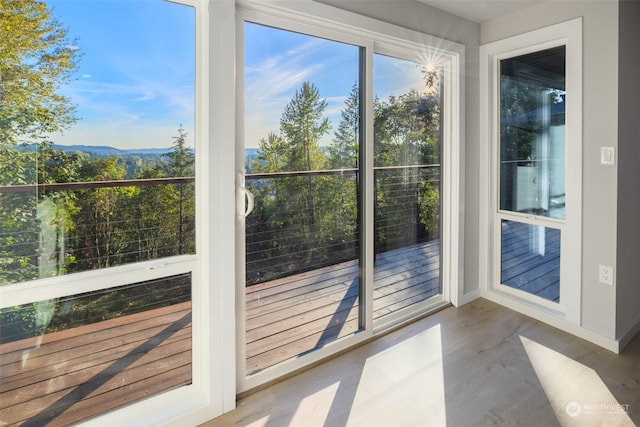 interior space featuring wood-type flooring and a mountain view