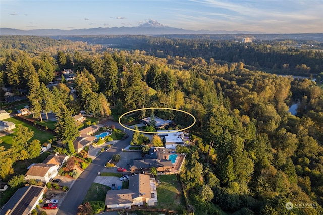 aerial view with a mountain view