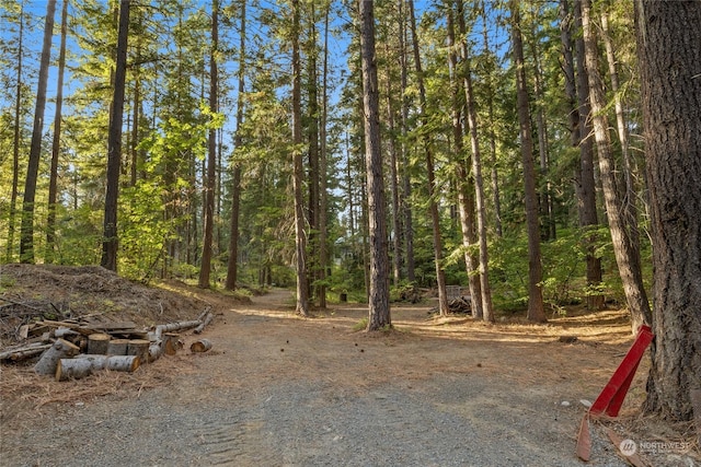 view of local wilderness featuring a wooded view