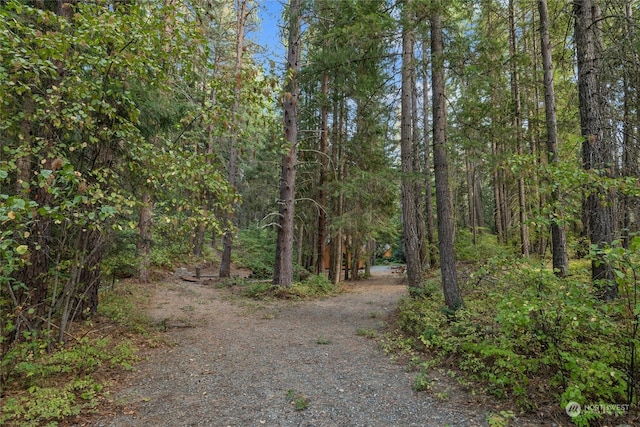 view of street featuring a forest view