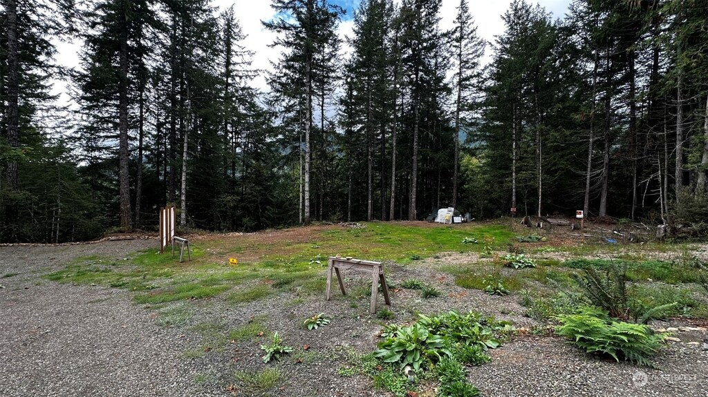 2381 Dosewallips Rd, Brinnon, WA 98320