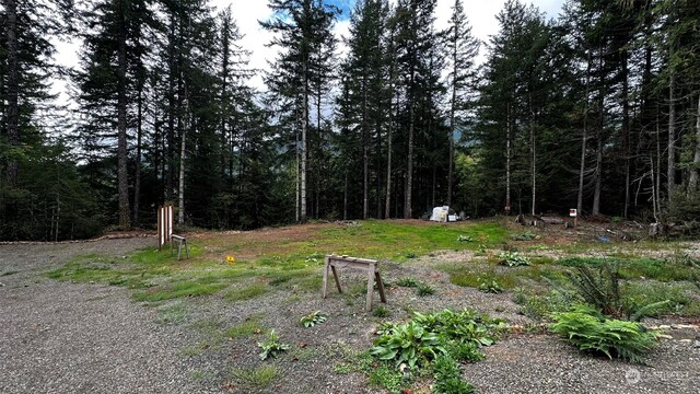 2381 Dosewallips Rd, Brinnon, WA 98320
