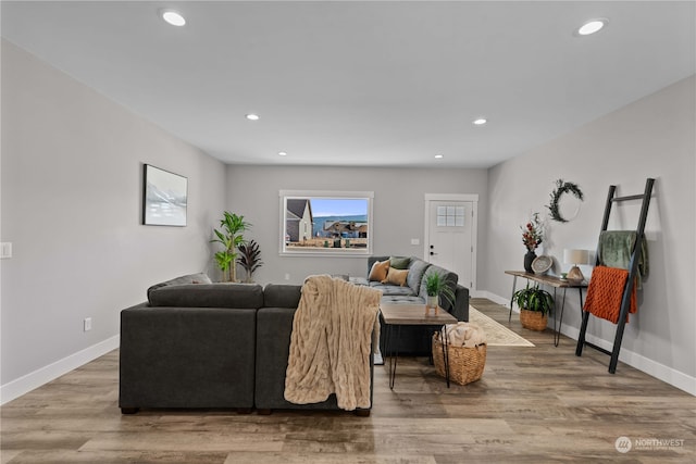 living room with hardwood / wood-style flooring