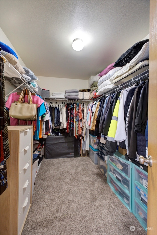 spacious closet with carpet floors