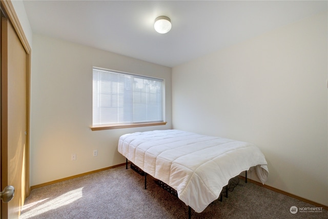 bedroom featuring carpet floors and a closet