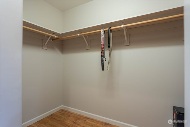 spacious closet with hardwood / wood-style floors