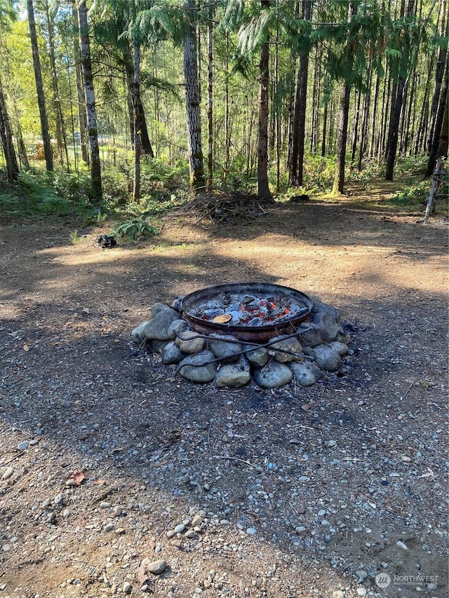10 N Tyee Pl, Hoodsport, WA 98548 - photo 2