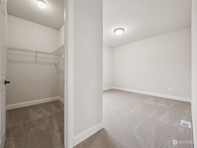 spacious closet with carpet flooring