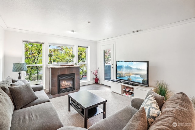 living room with crown molding, a tiled fireplace, and a textured ceiling