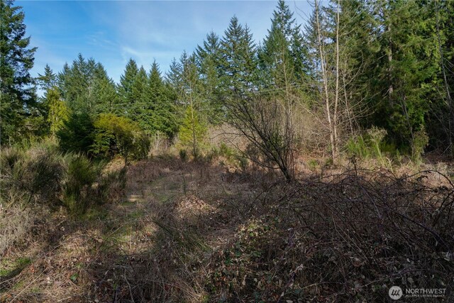 11 N Valley Dr, Shelton, WA 98548 - photo 2