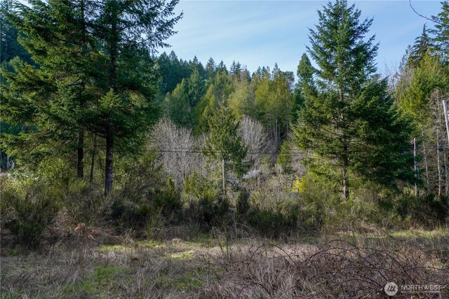 11 N Valley Dr, Shelton, WA 98548 - photo 3