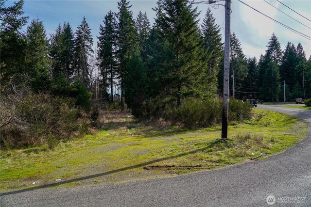 11 N Valley Dr, Shelton, WA 98548 - photo 4
