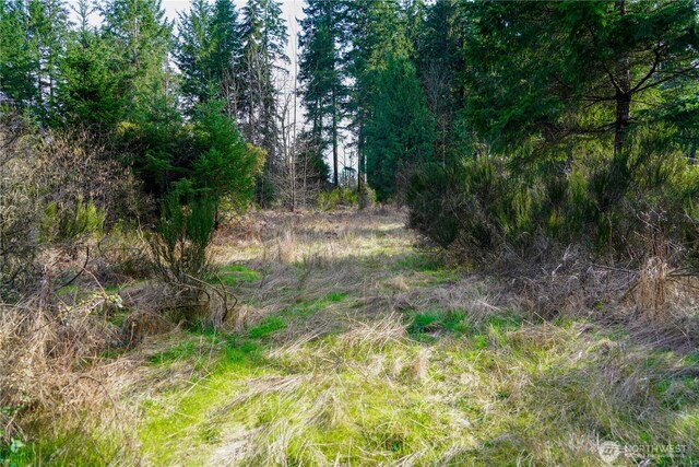 11 N Valley Dr, Shelton, WA 98548 - photo 5