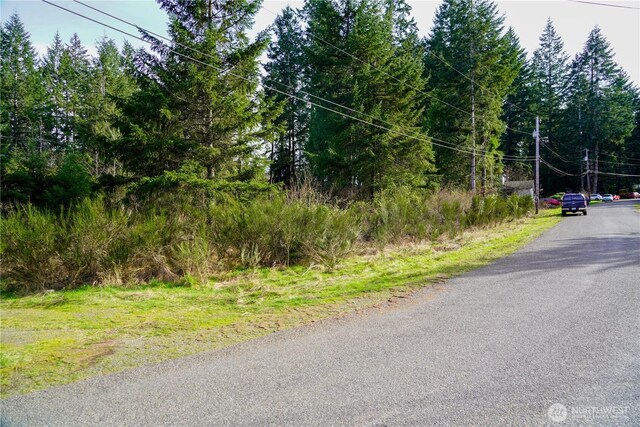 11 N Valley Dr, Shelton, WA 98548 - photo 6
