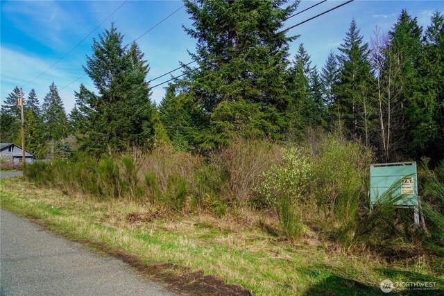 11 N Valley Dr, Shelton, WA 98548 - photo 7