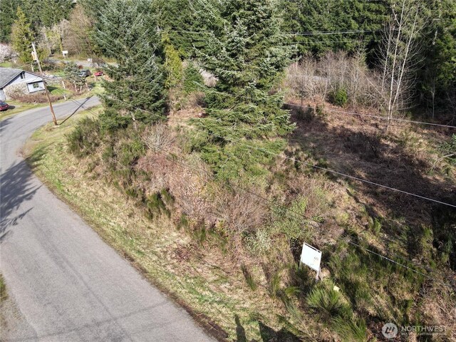 11 N Valley Dr, Shelton, WA 98548 - photo 8