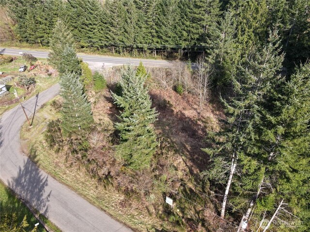 11 N Valley Dr, Shelton, WA 98548 - photo 9