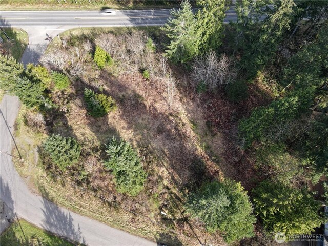 11 N Valley Dr, Shelton, WA 98548 - photo 10