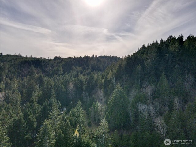 11 N Valley Dr, Shelton, WA 98548 - photo 11
