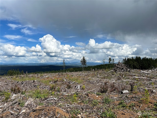 0NKA Casey Rd, Castle Rock WA, 98611 land for sale