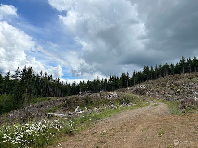 0NKA 713th Rd, Castle Rock WA, 98611 land for sale