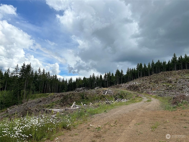 0NKA 713th Rd, Castle Rock, WA 98611 - photo 1