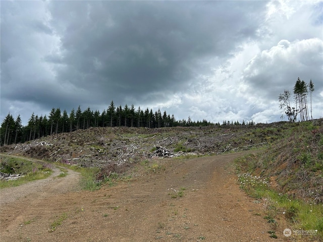 0NKA 713th Rd, Castle Rock, WA 98611 - photo 2