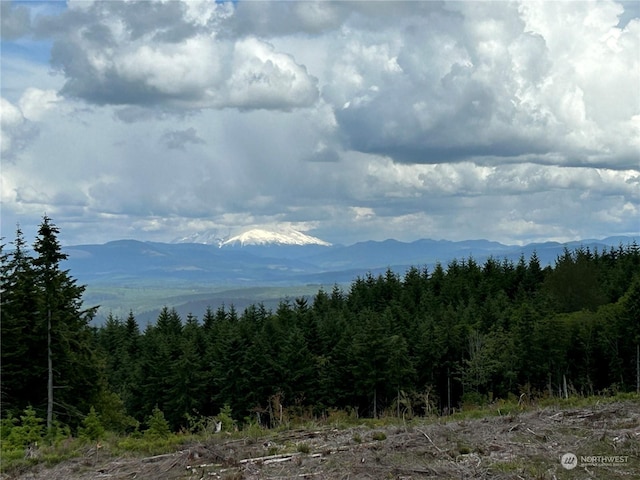 0NKA 713th Rd, Castle Rock, WA 98611 - photo 3