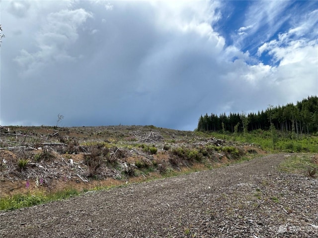0NKA 713th Rd, Castle Rock, WA 98611 - photo 4