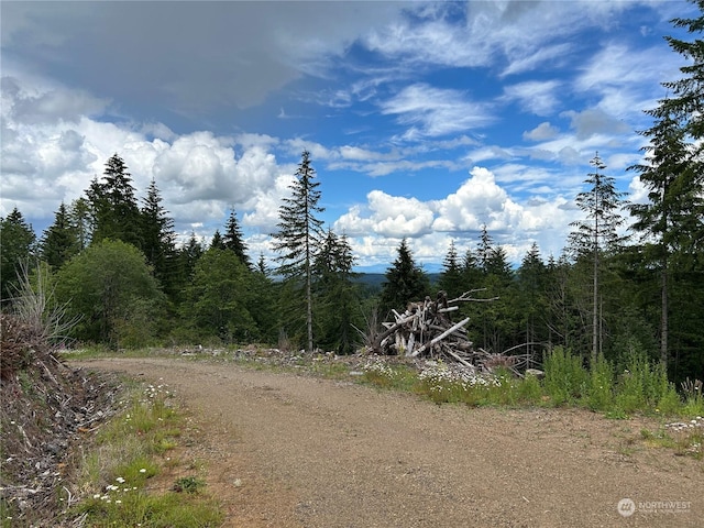 0NKA 713th Rd, Castle Rock, WA 98611 - photo 6