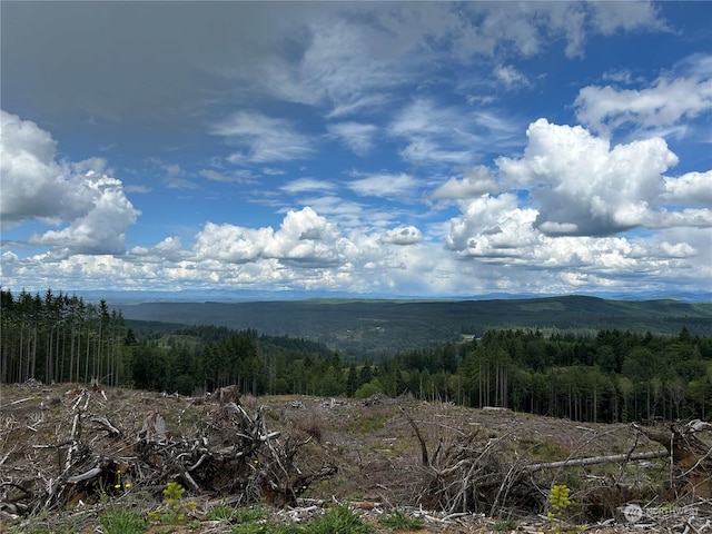 0NKA 713th Rd, Castle Rock, WA 98611 - photo 7
