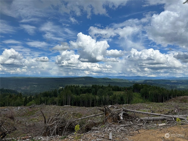 0NKA 713th Rd, Castle Rock, WA 98611 - photo 8