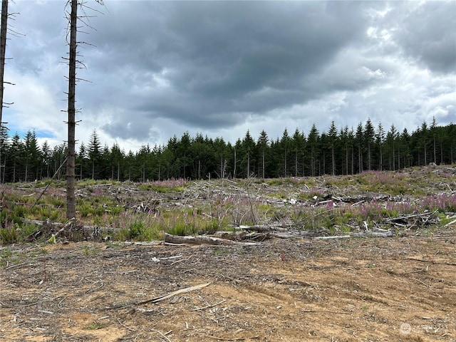 0NKA 713th Rd, Castle Rock, WA 98611 - photo 10