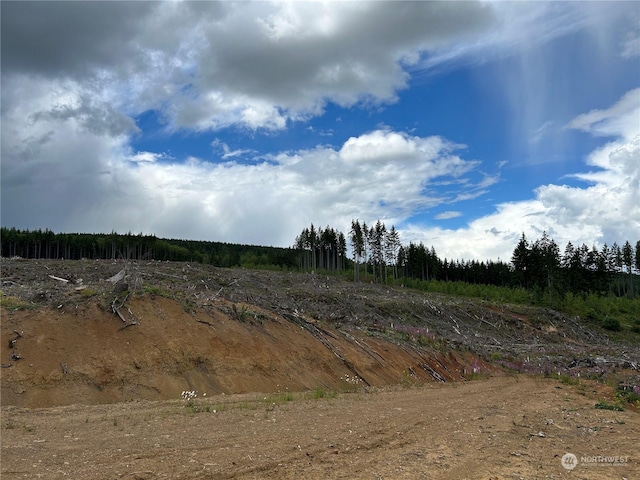 0NKA 713th Rd, Castle Rock, WA 98611 - photo 11