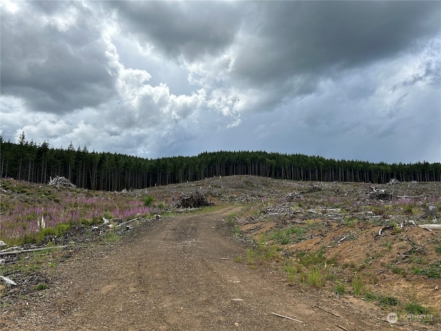 0NKA 713th Rd, Castle Rock, WA 98611 - photo 12