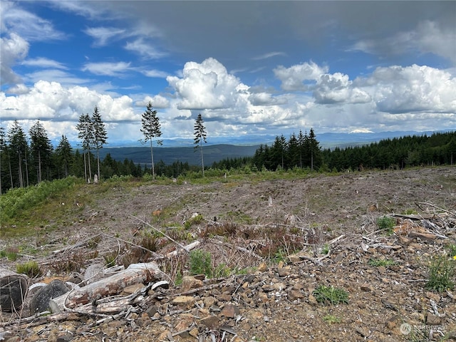 0NKA 713th Rd, Castle Rock, WA 98611 - photo 15