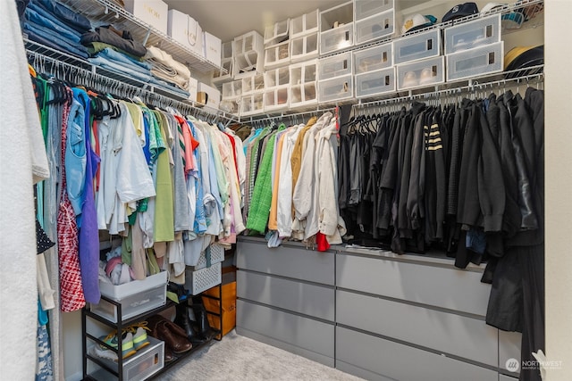 spacious closet with carpet flooring