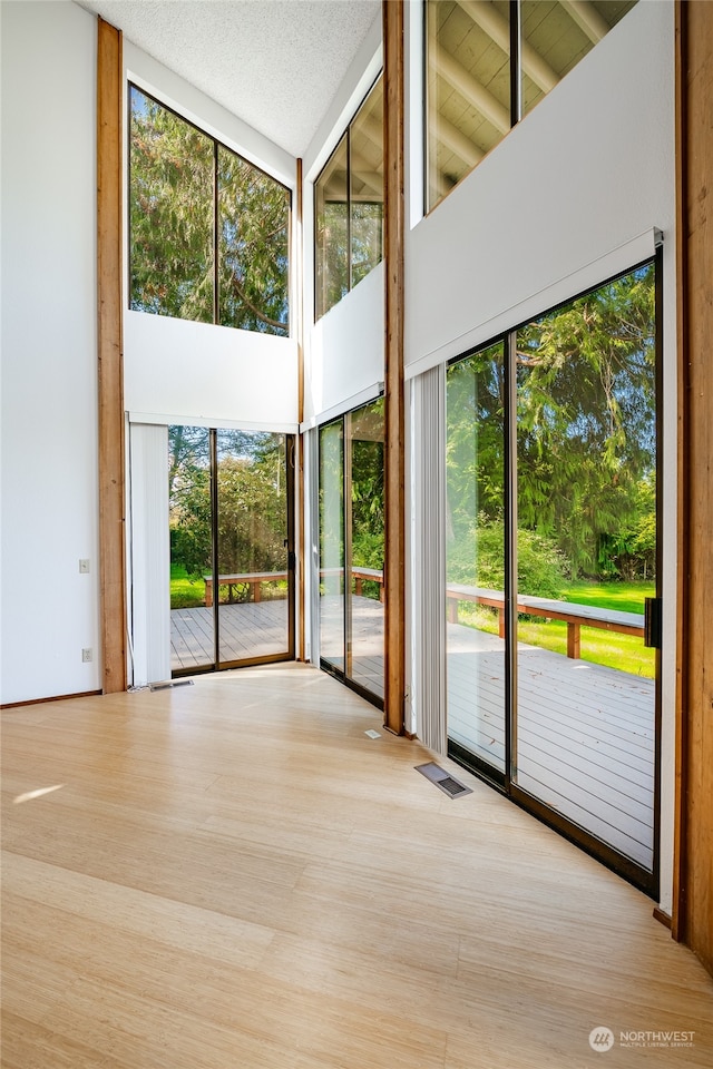 empty room with a healthy amount of sunlight, light hardwood / wood-style flooring, and high vaulted ceiling