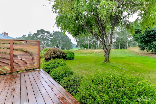 view of yard with a deck