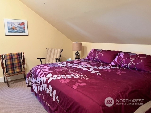 bedroom featuring carpet and vaulted ceiling