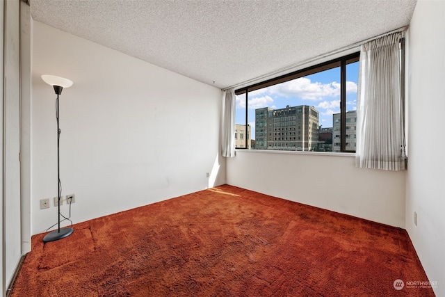 carpeted empty room with a textured ceiling and a wall of windows