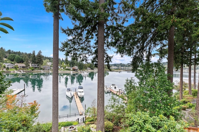 water view featuring a dock