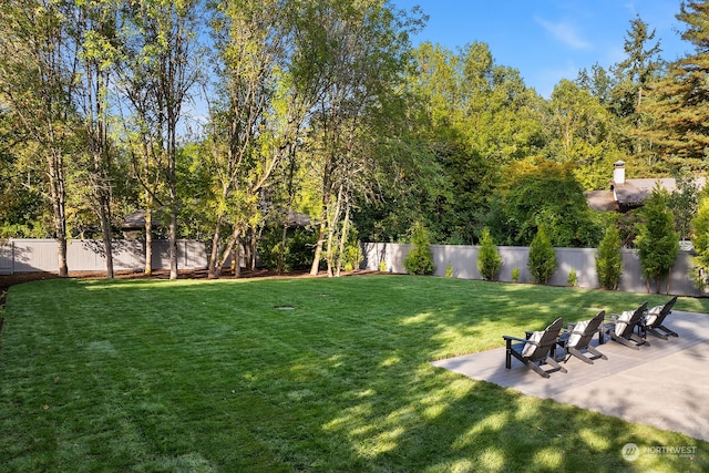 view of yard featuring a patio