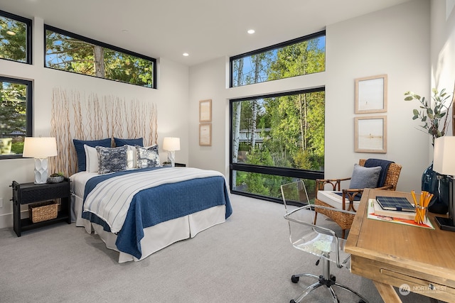 carpeted bedroom with a towering ceiling