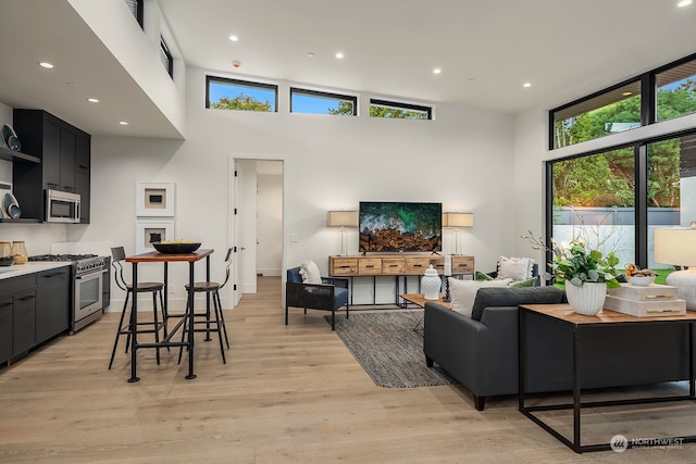 living room with a high ceiling and light hardwood / wood-style flooring